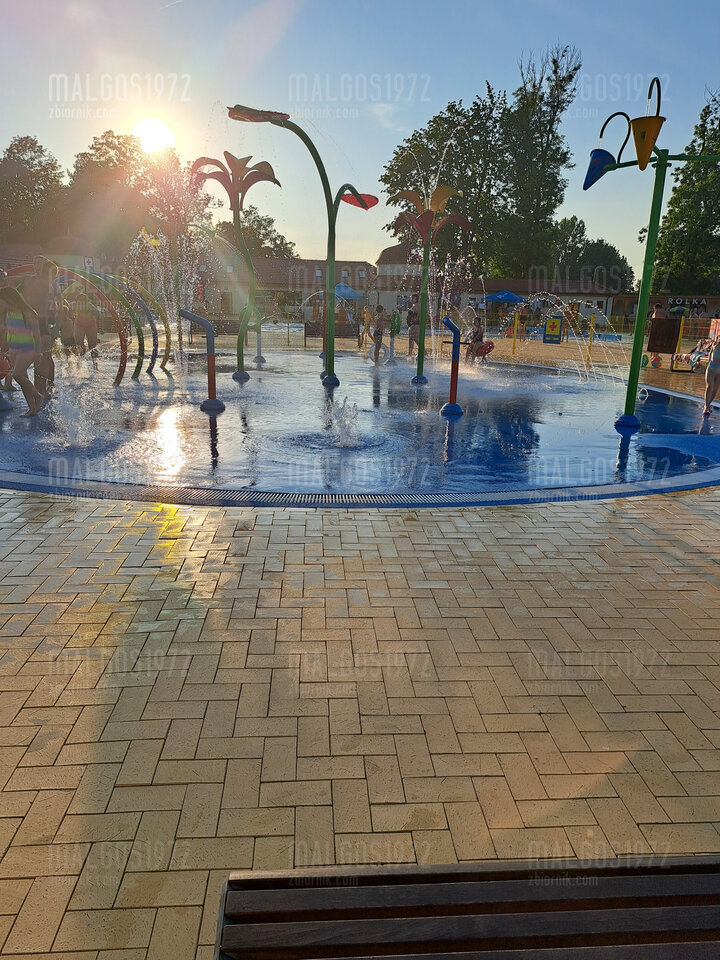 20230819_185203.jpg - malgos1972