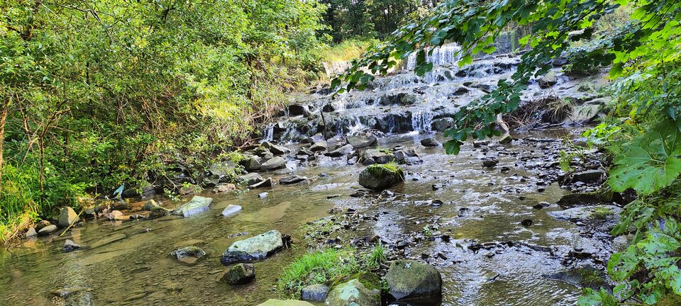 IMG20230820083419.jpg - Piotrusla