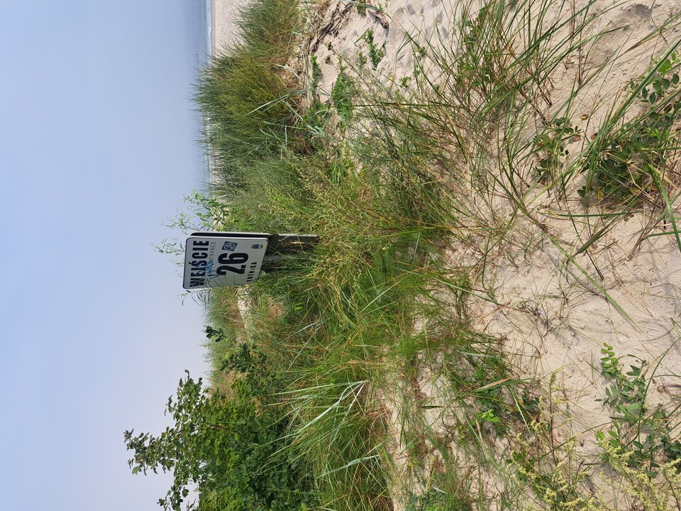 20230820_090325.jpg - Pogrzebien