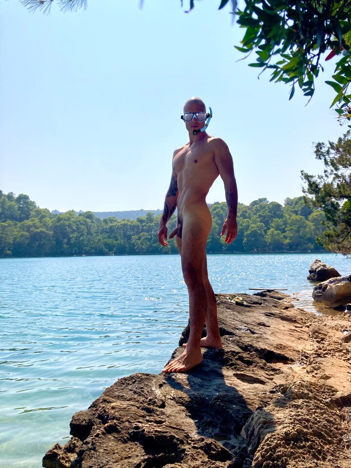 Podróżnik.jpeg - Parrots