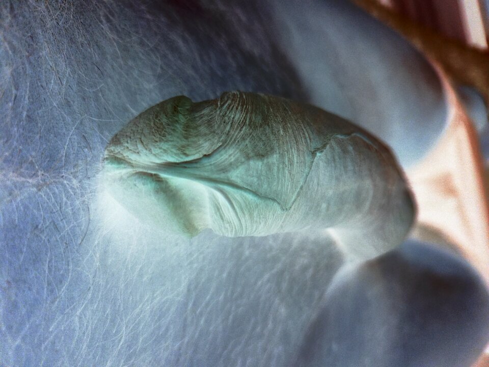 IMG_20230820_104054.jpg - kaliwisimulaga