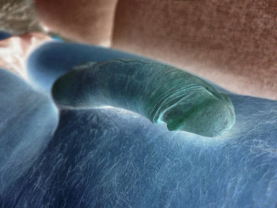 IMG_20230820_104011.jpg - kaliwisimulaga