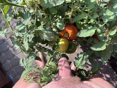 IMG_3211.jpeg