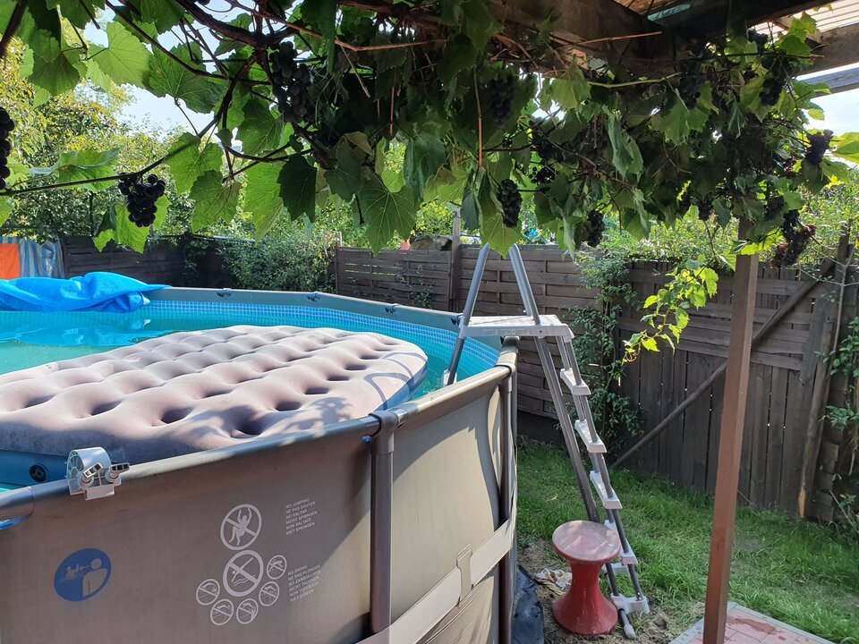 16925409772324789688774087682594.jpg - redxxxx