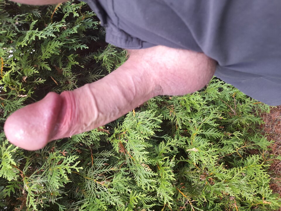 16925472274518089253486914246369.jpg - hej34