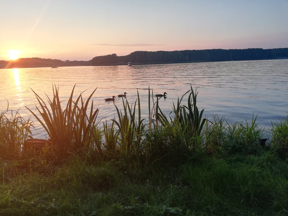 IMG_20230820_193000.jpg - sasanka75