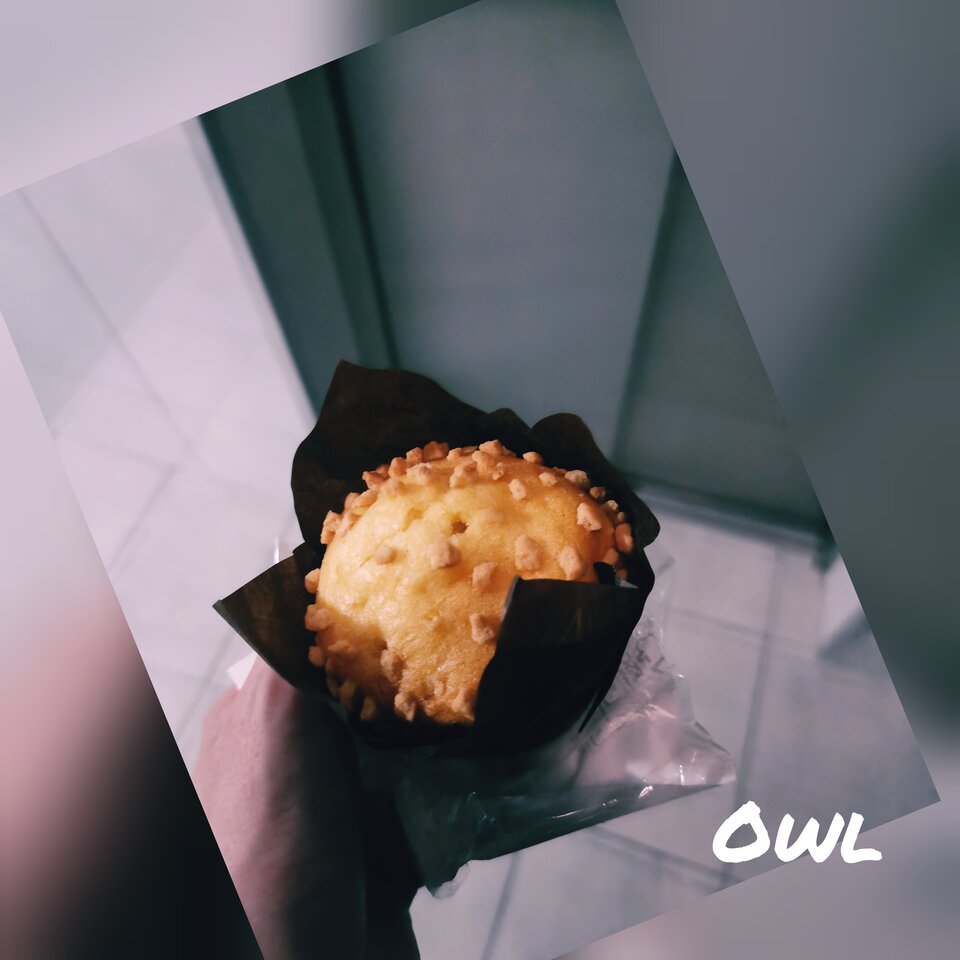 🍪.jpg - OwlsSoul