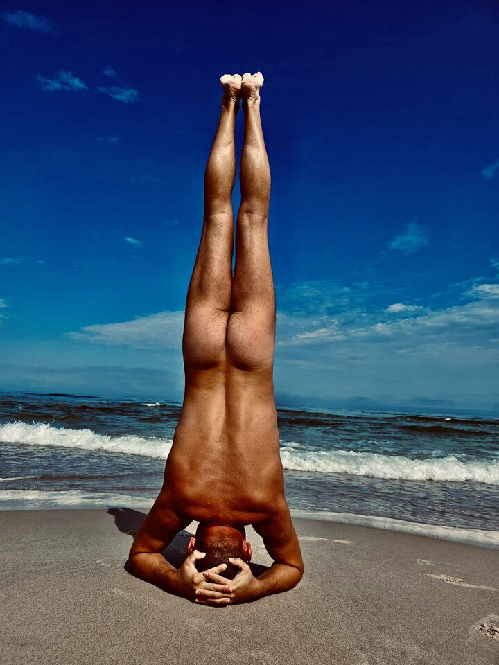 Wilk do góry nogami - SirWolf