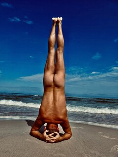 Wilk do góry nogami