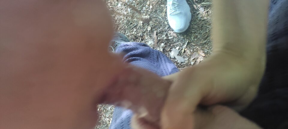 IMG_20230820_162835.jpg - fajnigorzow