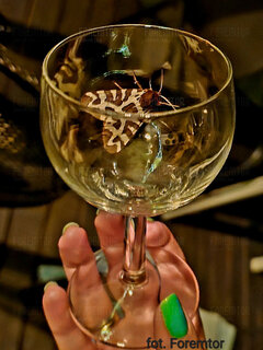 Imprezowa Dziewczyna.jpg