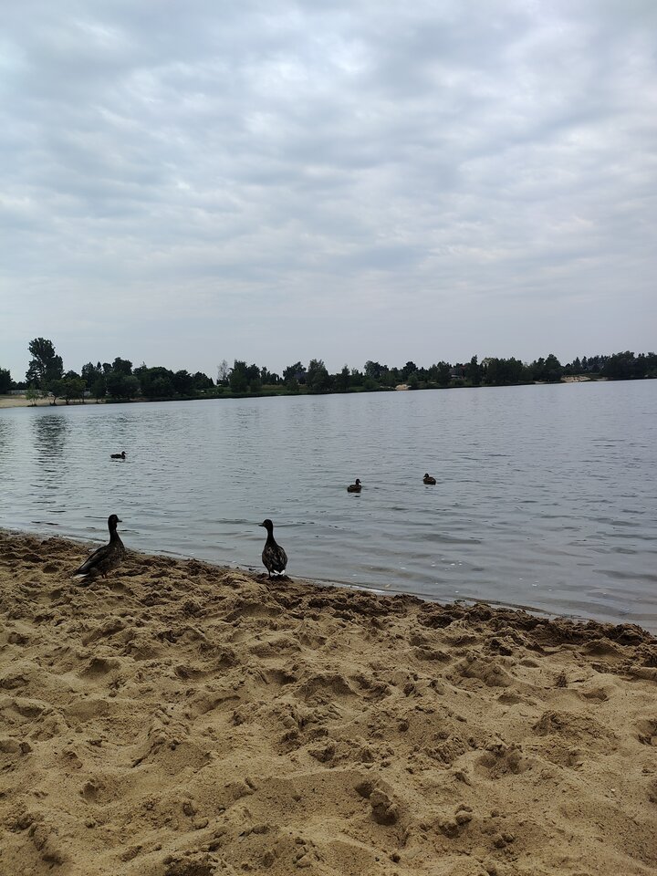 IMG20230821104440.jpg - hanser