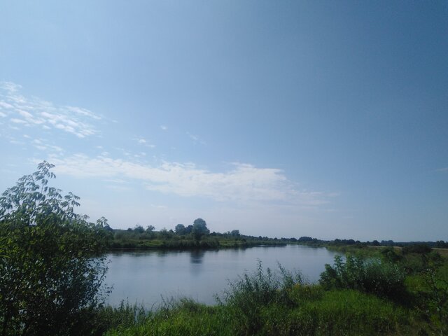 wtrasie