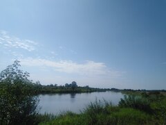 IMG_20230821_130020.jpg