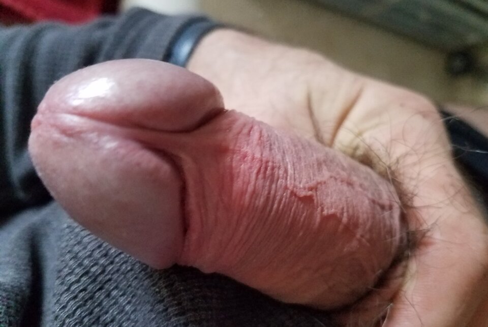 sgs_164203.jpg - ny39