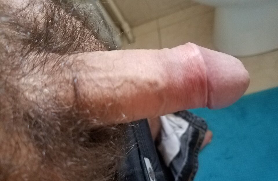 sgs_164105.jpg - ny39