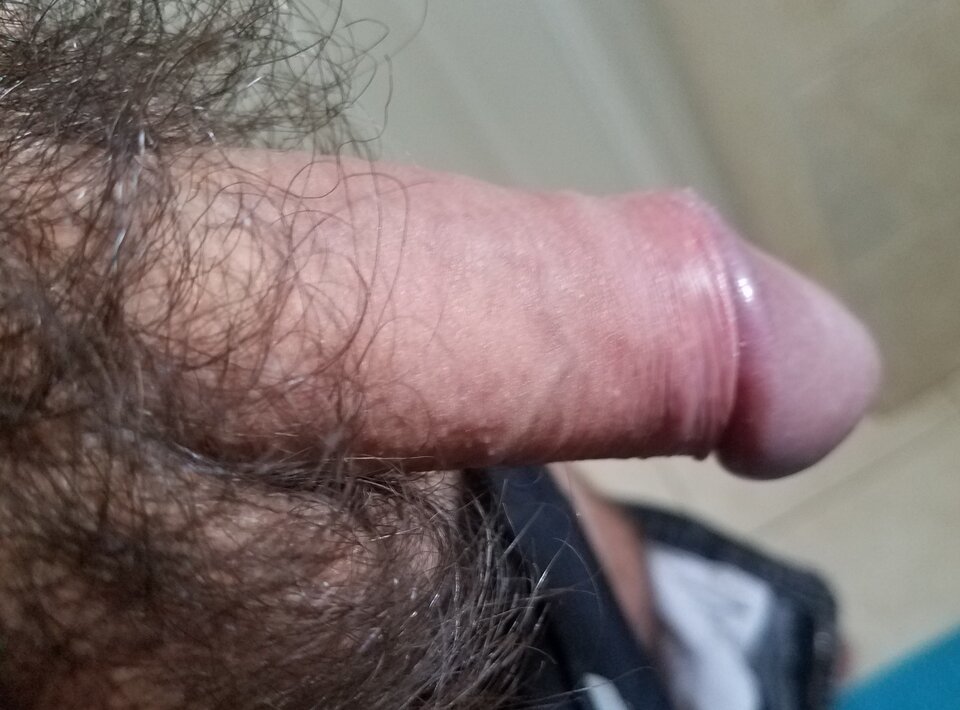 sgs_164137.jpg - ny39