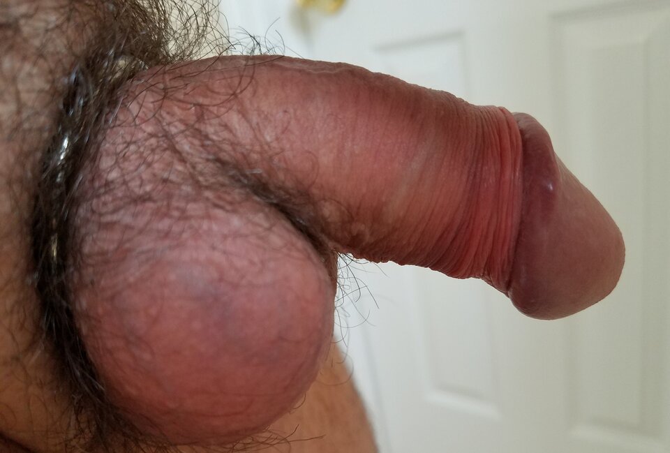 sgs_101009.jpg - ny39