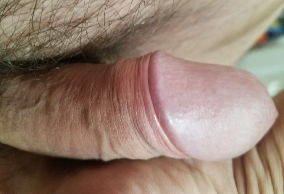 sgs_201133.jpg - ny39