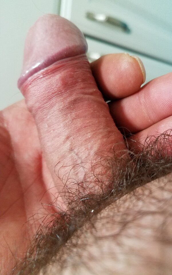 sgs_193611.jpg - ny39