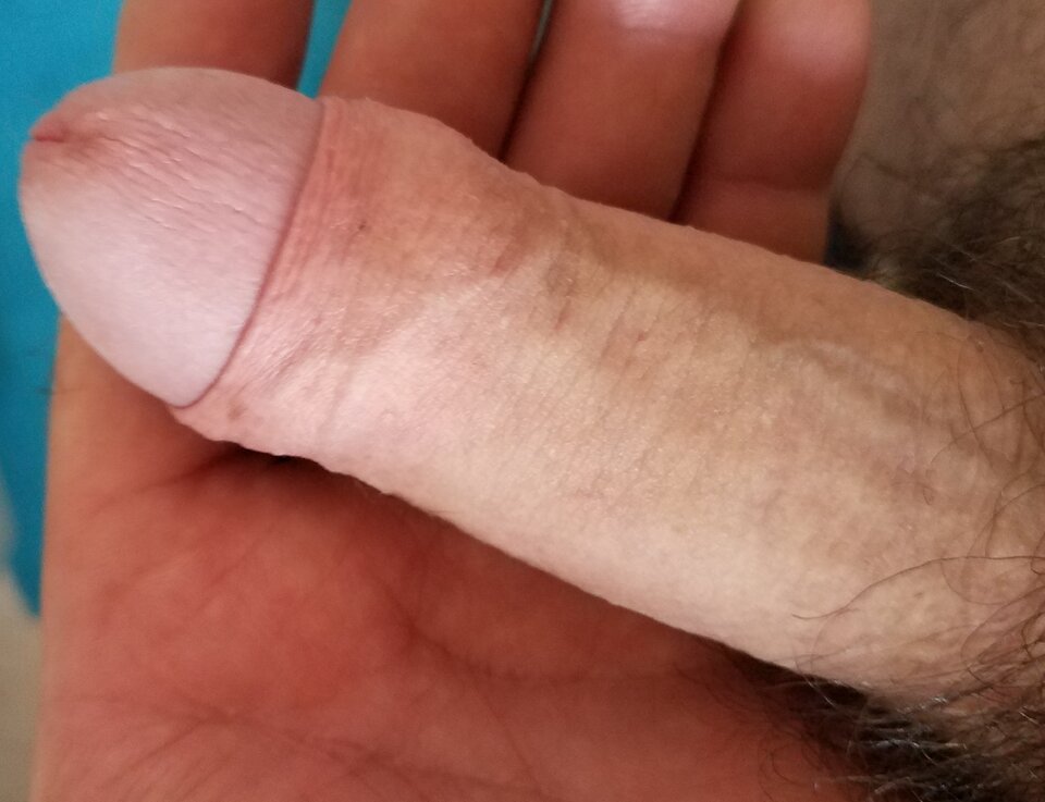 sgs_074212.jpg - ny39