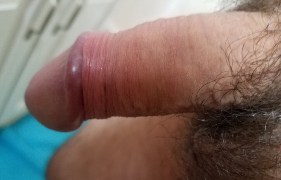 sgs_183933.jpg - ny39