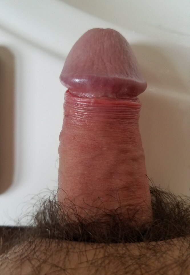 sgs_183615.jpg - ny39