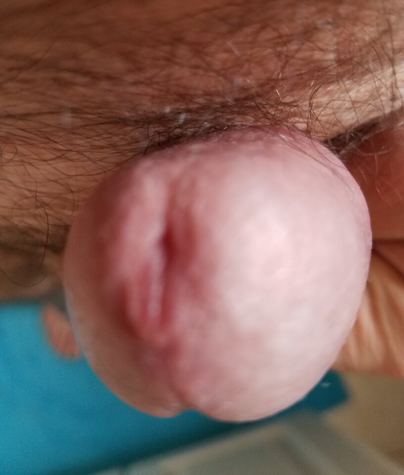 sgs_183631.jpg - ny39