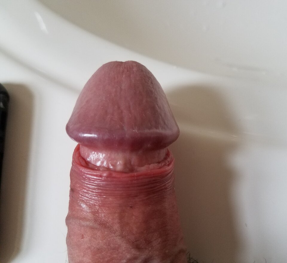 sgs_183610.jpg - ny39