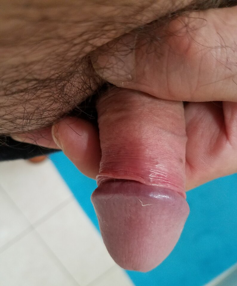 sgs_041557.jpg - ny39