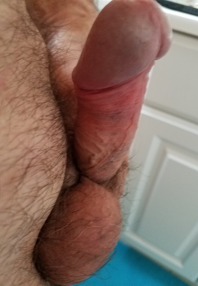 sgs_183551.jpg - ny39