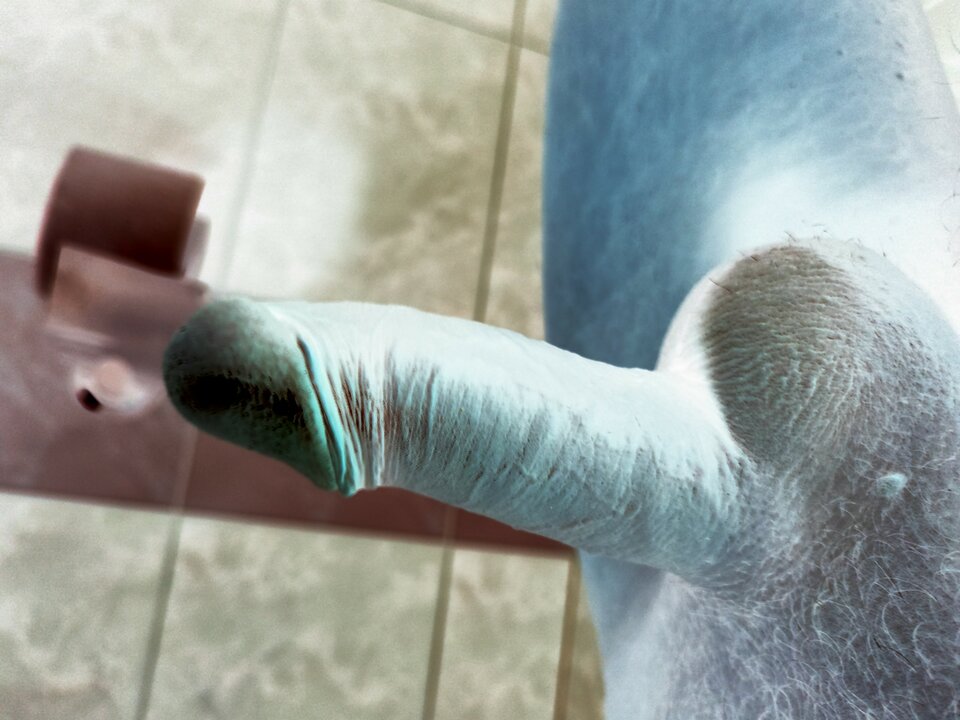 IMG_20230821_172058.jpg - kaliwisimulaga