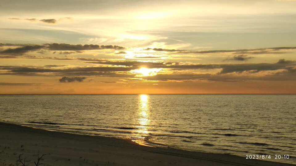 IMG_20230804_201004.jpg - casto