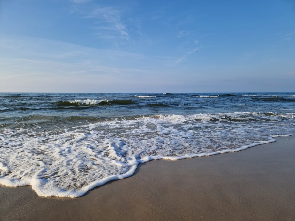 1000001244.jpg - _Tulipan_