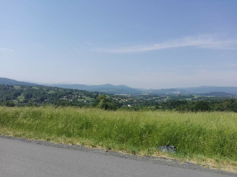 1000001250.jpg - _Tulipan_