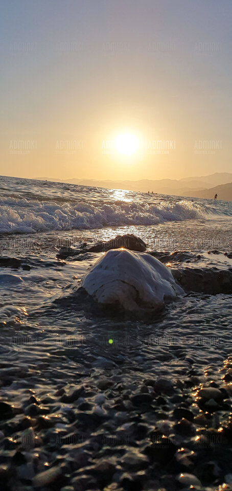 20230822_202000.jpg - Adminki