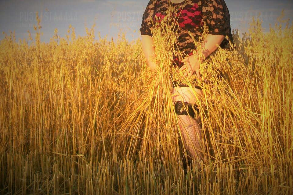 Letnie zboże - Puszysta4444