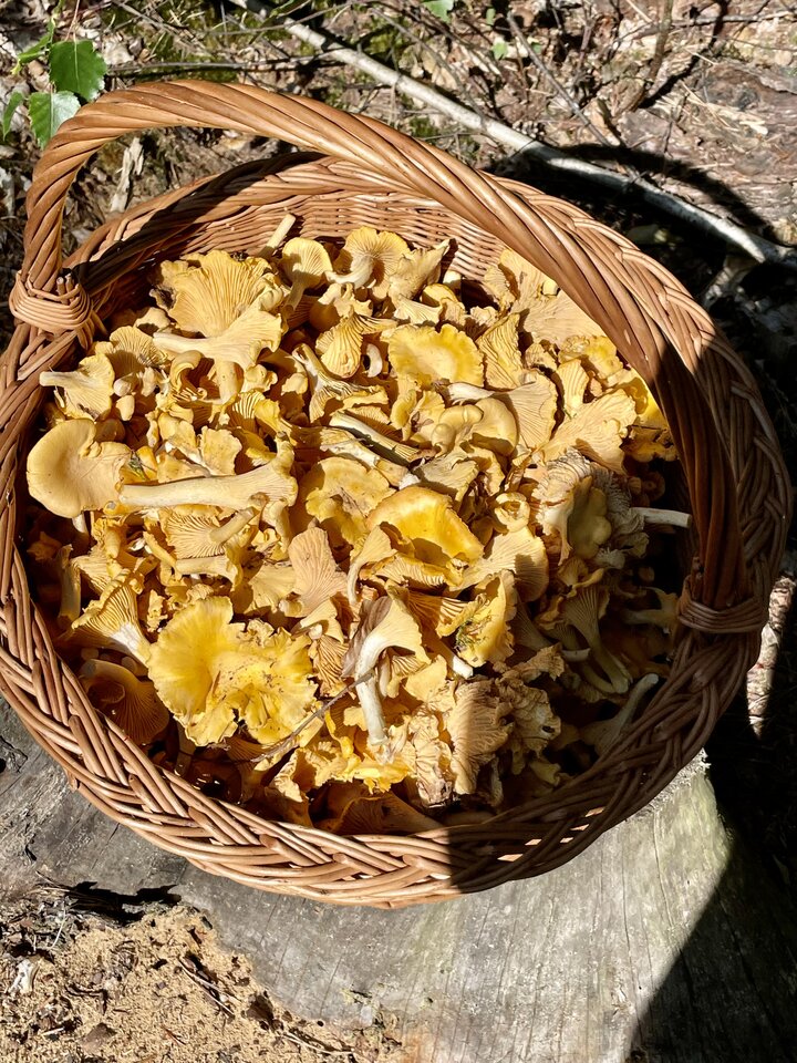 IMG_9167.jpeg - NaturystaXXX