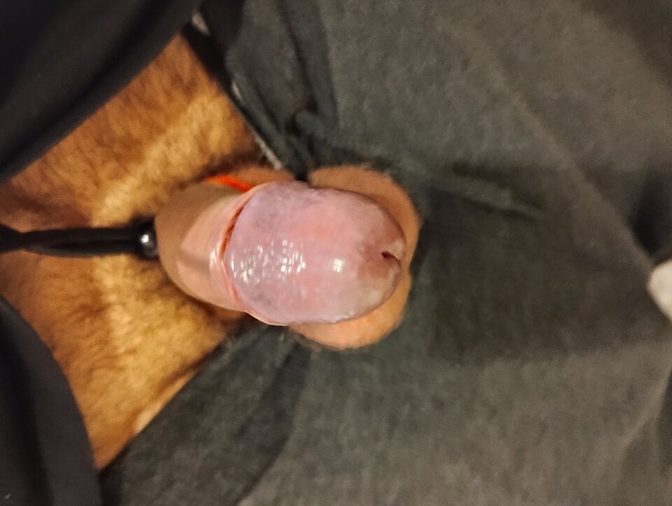 IMG_20230805_071958490.jpg - Maxi1001