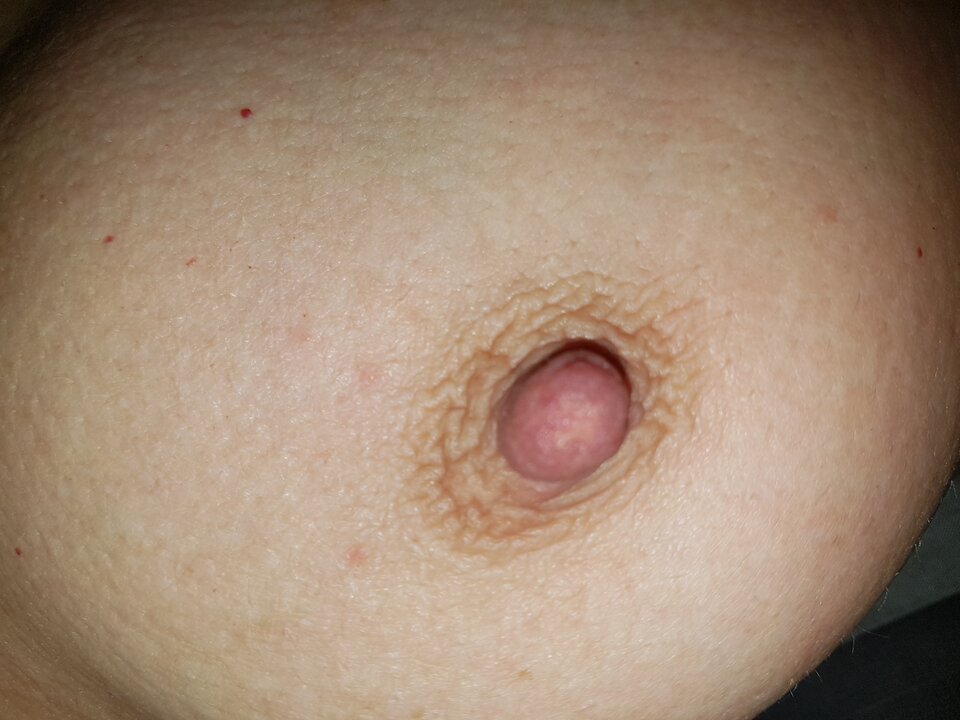 20230204_195449.jpg - OniGK