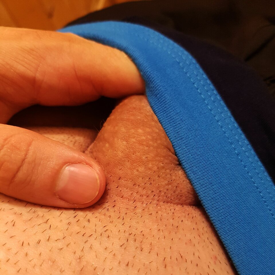 focia.jpg - Wrongsilence