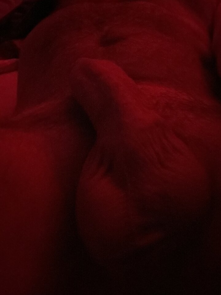 Hmmmmmm - dulcisiaczek