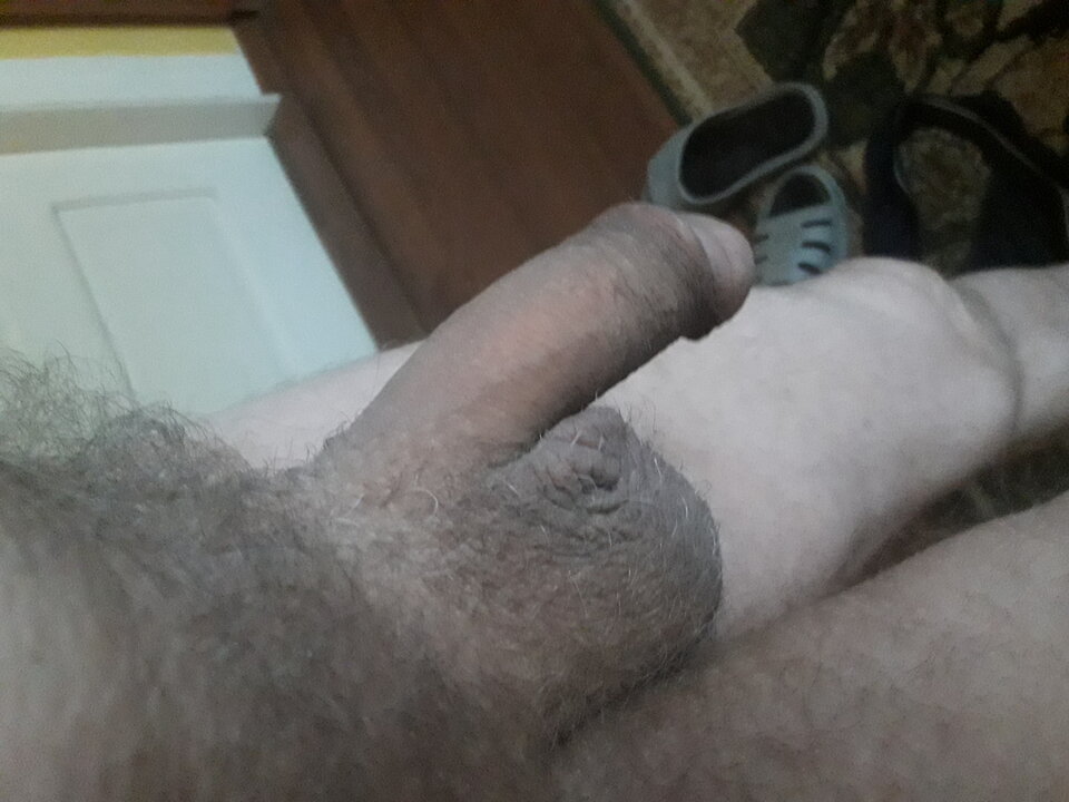 20230814_060313.jpg - brus13