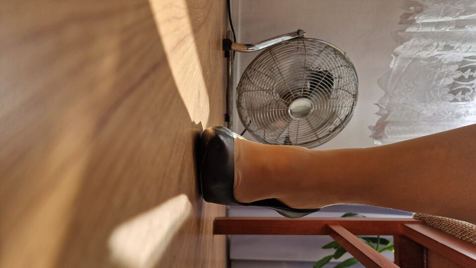 20230823_134411.jpg - Damaijelonek