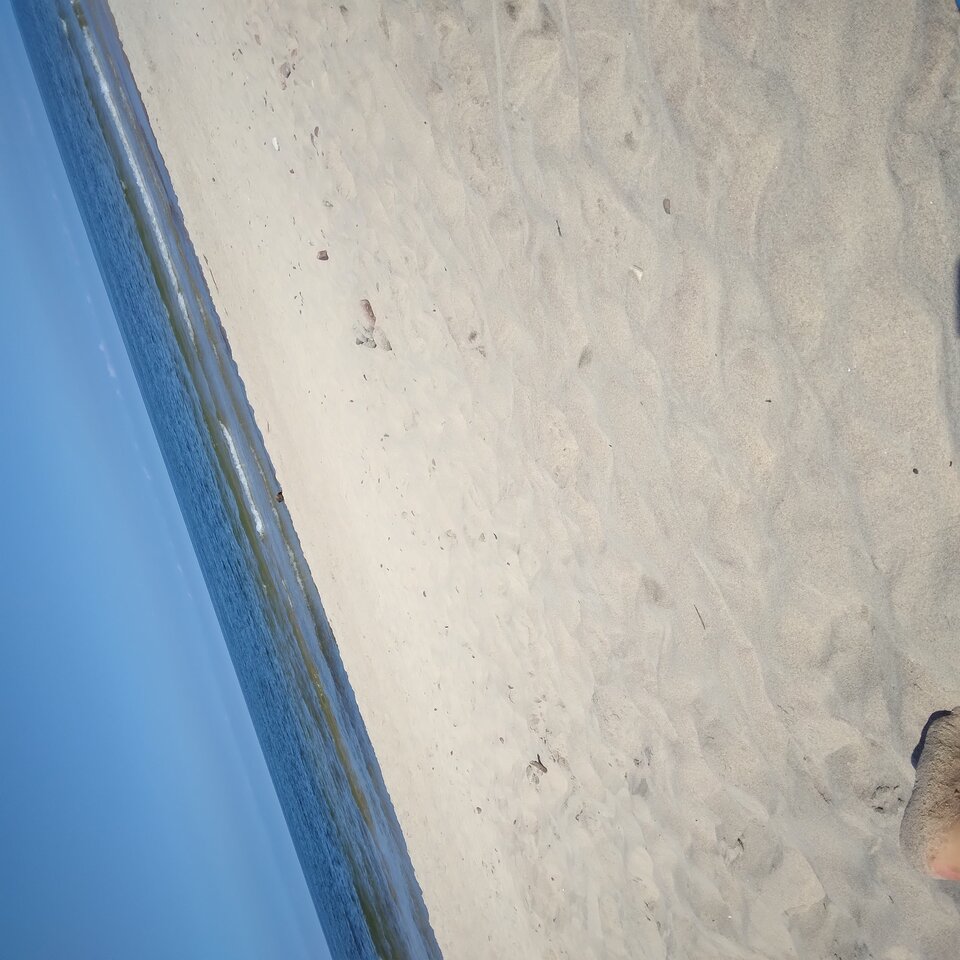 20230824_124244.jpg - Tomrea40