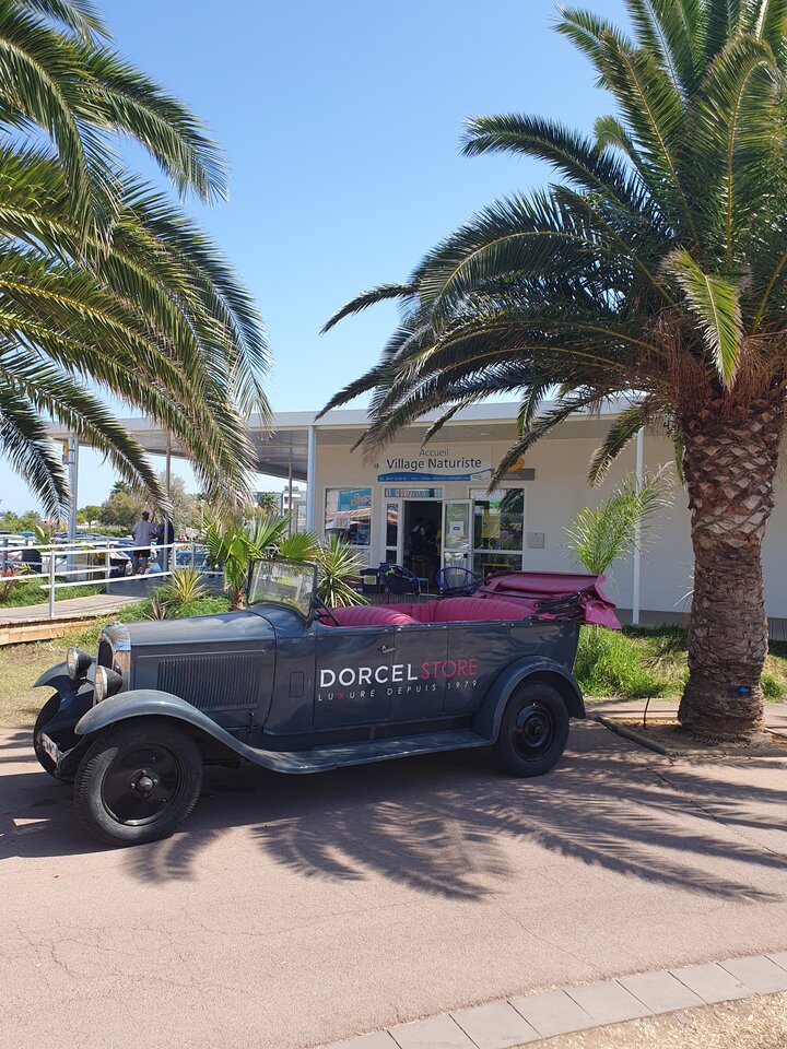 20230824_145421.jpg - bardzofajni1982