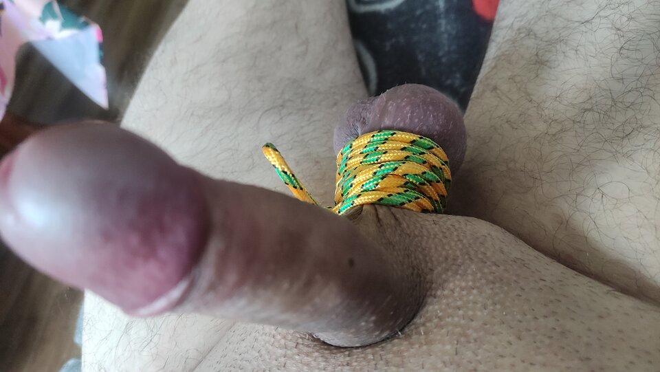 IMG_20230824_170928.jpg - Kriss7788