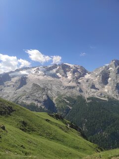 IMG_20230716_105426.jpg