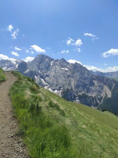 IMG_20230716_125438.jpg