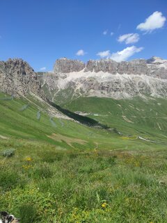 IMG_20230716_130533.jpg